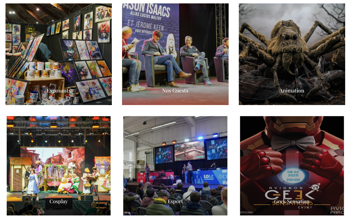Avignon Geek Expo 2026 - JFD Organisation